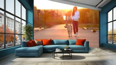 Young woman walking her adorable Akita Inu dog outdoors Wall mural