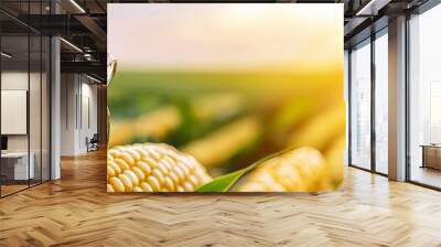 Golden corn oil being poured over fresh corn in a sunny field, highlighting natural ingredients and healthy cooking. Wall mural