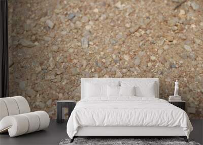 texture of sand Wall mural