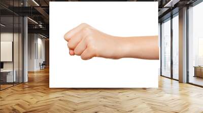 Woman's hand with fist gesture isolated on white Wall mural