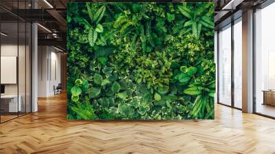 Close up group of background tropical green leaves texture and abstract background. Tropical leaf nature concept. Wall mural