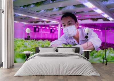 Female scientist harvesting vegetables and assessing quality in a hydroponics farm under LED lighting. Organic fresh vegetable. Wall mural