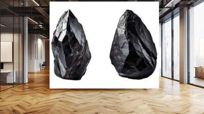 Collection set of black stones isolated on transparent background Wall mural