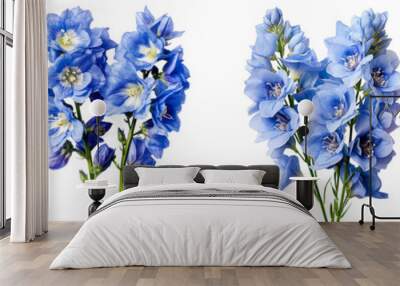 Collection set of delphinium flowers isolated on transparent background Wall mural