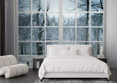 Residential window with snow and trees Wall mural