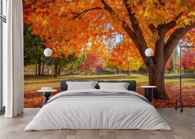 Autumn colorful bright leaves swinging in a tree in autumnal park Wall mural