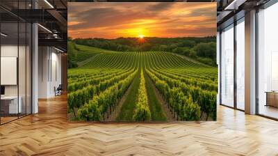 Neatly aligned rows of crops with a vibrant sunset in the background Wall mural