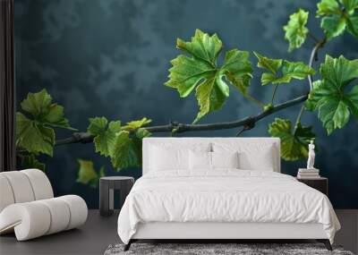 Fresh new leaves of ornamental grape vines Wall mural