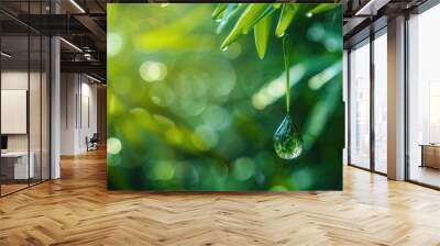 Fresh Water Drop in Natural Setting Wall mural