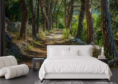 Pathway through trees and stones in a Mediterranean forest Travel photography of a scenic landscape Wall mural