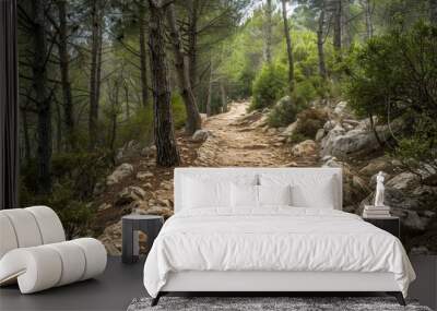 Pathway through trees and stones in a Mediterranean forest Travel photography of a scenic landscape Wall mural