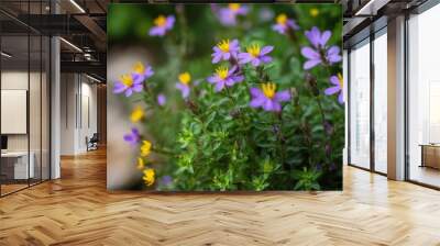 Vibrant purple and yellow flowers in a lush green garden. Wall mural