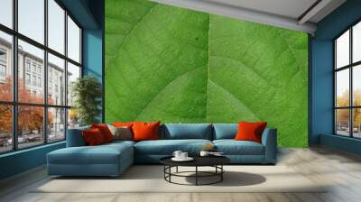 The texture of the leaves is beautiful Wall mural