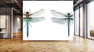 Dragonfly isolated on white background. Transparent image Wall mural