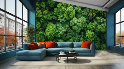 
 Save to Library
 Download Preview Preview Crop
 Find Similar
 
FILE #:  678187191
Aerial top view of green trees in forest. Drone view of dense green tree captures CO2. Green tree nature background  Wall mural