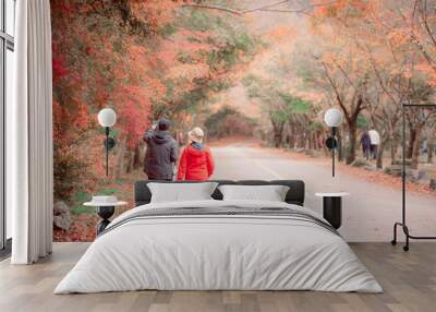  two individuals walking on a road amidst the vibrant autumn foliage in Naejangsan, South Korea, creating a serene and picturesque atmosphere. Wall mural