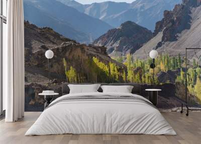 beautiful landscape with green trees and blue sky, mountains in the background at Ladakh, in the Indian Himalayas. Wall mural