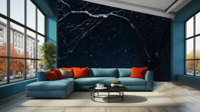 Trees Under a Starry Night Sky. Wall mural