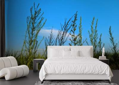 grass and blue sky Wall mural