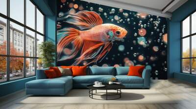 Colorful fighting fish under water There are bubbles on a black background - generative ai Wall mural