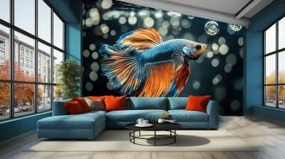 Colorful fighting fish under water There are bubbles on a black background - generative ai Wall mural