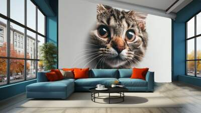 International cat day Poster design background - generative ai Wall mural