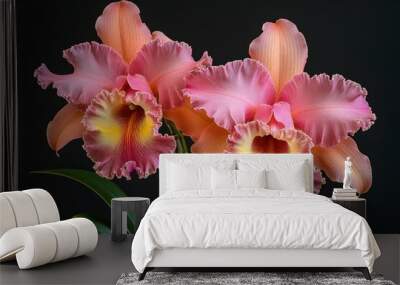 orchids large on a homogeneous background - generative ai Wall mural