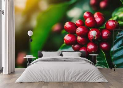 Ripe Red coffee bean berry plant fresh seed coffee tree growth in green eco organic farm. Close up red ripe seed robusta arabica berries harvest for coffee garden. Fresh coffee bean - generative ai Wall mural