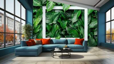 Spathiphyllum cannifolium concept, green abstract texture with white frame, natural background, tropical leaves in Asia and Thailand - generative ai Wall mural