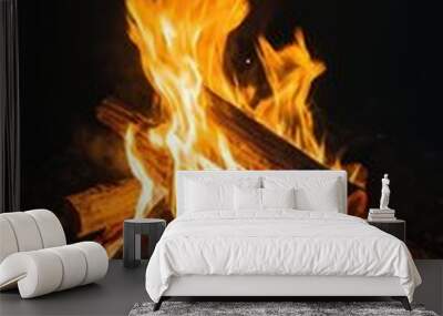 Burning campfire on a dark background Wall mural