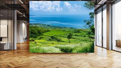 A beautiful summer day with blue sky and white clouds, overlooking the vast sea from high above.  Wall mural