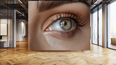 A beautiful woman's eyes and eyelashes, with bright eyes, fine and slender eyelashes,  Wall mural