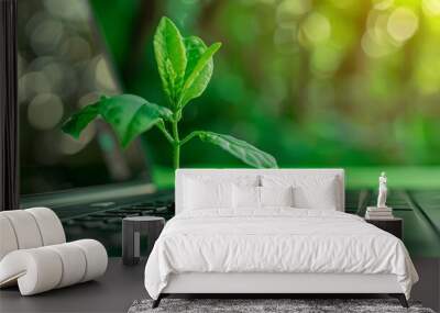 Environmentally sustainable IT with green technology. A green plant grows on a laptop keyboard against a green background, emphasizing green information technology and eco-friendly practices. Wall mural