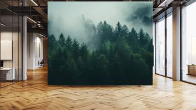 misty autumn coniferous evergreen forest with fog in the mountains,  Misty landscape with fir forest in hipster vintage retro style. dark green forest lanscape panorama Wall mural