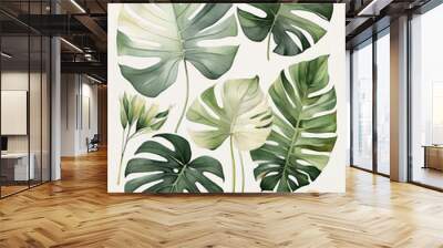 water color monstera variegated set 2 Wall mural