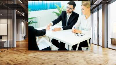 Handshake on job interview Wall mural