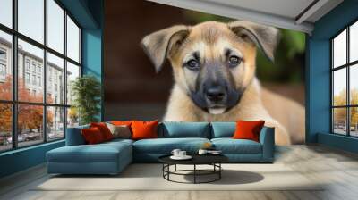 Adorable Puppy Portrait Wall mural