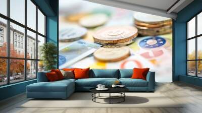 European Currency Collection Wall mural