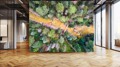 Aerial looking down at river with mineral water with hiking trail and bridge in lush green forest Wall mural