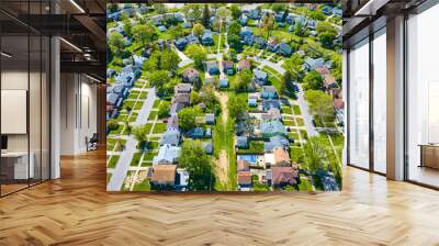 City neighborhood houses curved road green grass landscaping aerial two story houses Wall mural