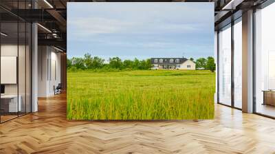 Distant two story house with line of green trees and blue sky above field of tall grasses Wall mural