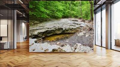 Pool of water under exposed limestone rock in dried up riverbed in lush green forest Wall mural