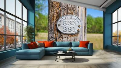 Rural Utility Pole with Metallic Sign, Green Natural Background Wall mural