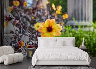 Single joyful yellow flower among death and despair of wilting petals on purple vines and leaves Wall mural