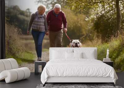 Joyful Stroll with a Dog Wall mural