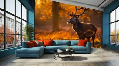 wildlife photography concept Wall mural