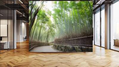 Bamboo forest in the morning, Japan Wall mural