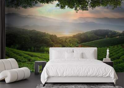 beautiful tea darden with nice sunset and tea tree green Wall mural