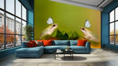 Two Baby Tree frog on the leaf (Hyla chinensis) Wall mural