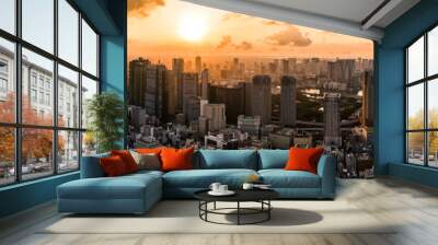 Aerial Drone Photo - Skyline of the city of Tokyo, Japan at sunrise.  Asia Wall mural